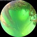 ./images/calvert/underwater/20260612/underwater20260612_115501M.jpg