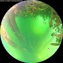 ./images/calvert/underwater/20260612/underwater20260612_120001M.jpg