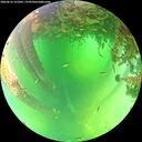 ./images/calvert/underwater/20260612/underwater20260612_121001M.jpg