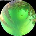 ./images/calvert/underwater/20260612/underwater20260612_121501M.jpg