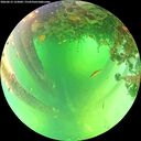 ./images/calvert/underwater/20260612/underwater20260612_122002M.jpg