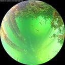 ./images/calvert/underwater/20260612/underwater20260612_122501M.jpg