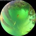 ./images/calvert/underwater/20260612/underwater20260612_123001M.jpg