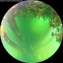 ./images/calvert/underwater/20260612/underwater20260612_123502M.jpg