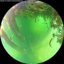 ./images/calvert/underwater/20260612/underwater20260612_124501M.jpg