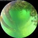 ./images/calvert/underwater/20260612/underwater20260612_125501M.jpg