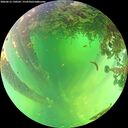 ./images/calvert/underwater/20260612/underwater20260612_130501M.jpg