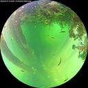 ./images/calvert/underwater/20260612/underwater20260612_131001M.jpg