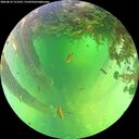 ./images/calvert/underwater/20260612/underwater20260612_131501M.jpg