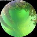 ./images/calvert/underwater/20260612/underwater20260612_132001M.jpg
