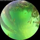 ./images/calvert/underwater/20260612/underwater20260612_133002M.jpg