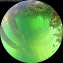 ./images/calvert/underwater/20260612/underwater20260612_133501M.jpg