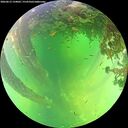 ./images/calvert/underwater/20260612/underwater20260612_134002M.jpg