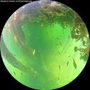 ./images/calvert/underwater/20260612/underwater20260612_135501M.jpg