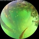 ./images/calvert/underwater/20260612/underwater20260612_142001M.jpg