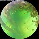 ./images/calvert/underwater/20260612/underwater20260612_142501M.jpg