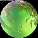 ./images/calvert/underwater/20260612/underwater20260612_143001M.jpg