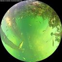 ./images/calvert/underwater/20260612/underwater20260612_144501M.jpg