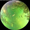 ./images/calvert/underwater/20260612/underwater20260612_150001M.jpg