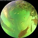 ./images/calvert/underwater/20260612/underwater20260612_151001M.jpg