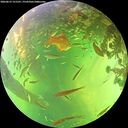 ./images/calvert/underwater/20260612/underwater20260612_151501M.jpg