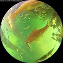 ./images/calvert/underwater/20260612/underwater20260612_152001M.jpg