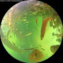 ./images/calvert/underwater/20260612/underwater20260612_153002M.jpg