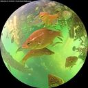 ./images/calvert/underwater/20260612/underwater20260612_155501M.jpg