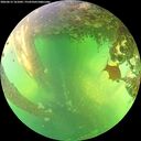 ./images/calvert/underwater/20260612/underwater20260612_161002M.jpg