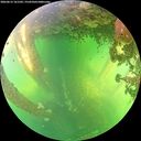 ./images/calvert/underwater/20260612/underwater20260612_161501M.jpg