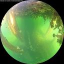 ./images/calvert/underwater/20260612/underwater20260612_162501M.jpg