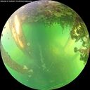 ./images/calvert/underwater/20260612/underwater20260612_163001M.jpg