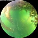 ./images/calvert/underwater/20260612/underwater20260612_163501M.jpg
