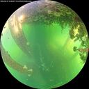 ./images/calvert/underwater/20260612/underwater20260612_164002M.jpg