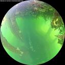 ./images/calvert/underwater/20260612/underwater20260612_165501M.jpg