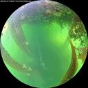 ./images/calvert/underwater/20260612/underwater20260612_170002M.jpg