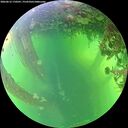 ./images/calvert/underwater/20260612/underwater20260612_170501M.jpg