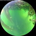 ./images/calvert/underwater/20260612/underwater20260612_171001M.jpg