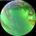 ./images/calvert/underwater/20260612/underwater20260612_171501M.jpg