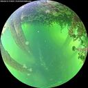 ./images/calvert/underwater/20260612/underwater20260612_172001M.jpg