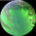 ./images/calvert/underwater/20260612/underwater20260612_172501M.jpg