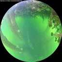 ./images/calvert/underwater/20260612/underwater20260612_173001M.jpg