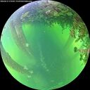 ./images/calvert/underwater/20260612/underwater20260612_173501M.jpg