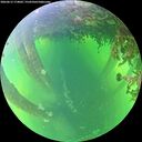 ./images/calvert/underwater/20260612/underwater20260612_174001M.jpg