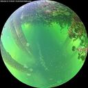 ./images/calvert/underwater/20260612/underwater20260612_174501M.jpg