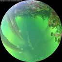 ./images/calvert/underwater/20260612/underwater20260612_175002M.jpg