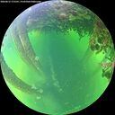 ./images/calvert/underwater/20260612/underwater20260612_175501M.jpg