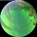 ./images/calvert/underwater/20260612/underwater20260612_180501M.jpg