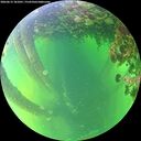 ./images/calvert/underwater/20260612/underwater20260612_181001M.jpg