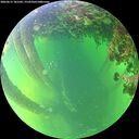 ./images/calvert/underwater/20260612/underwater20260612_181501M.jpg